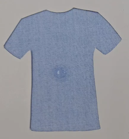 Everyday apparel requiring stain resistance